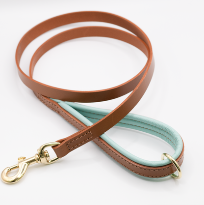 Padded Leather Dog Lead Tan and Aqua