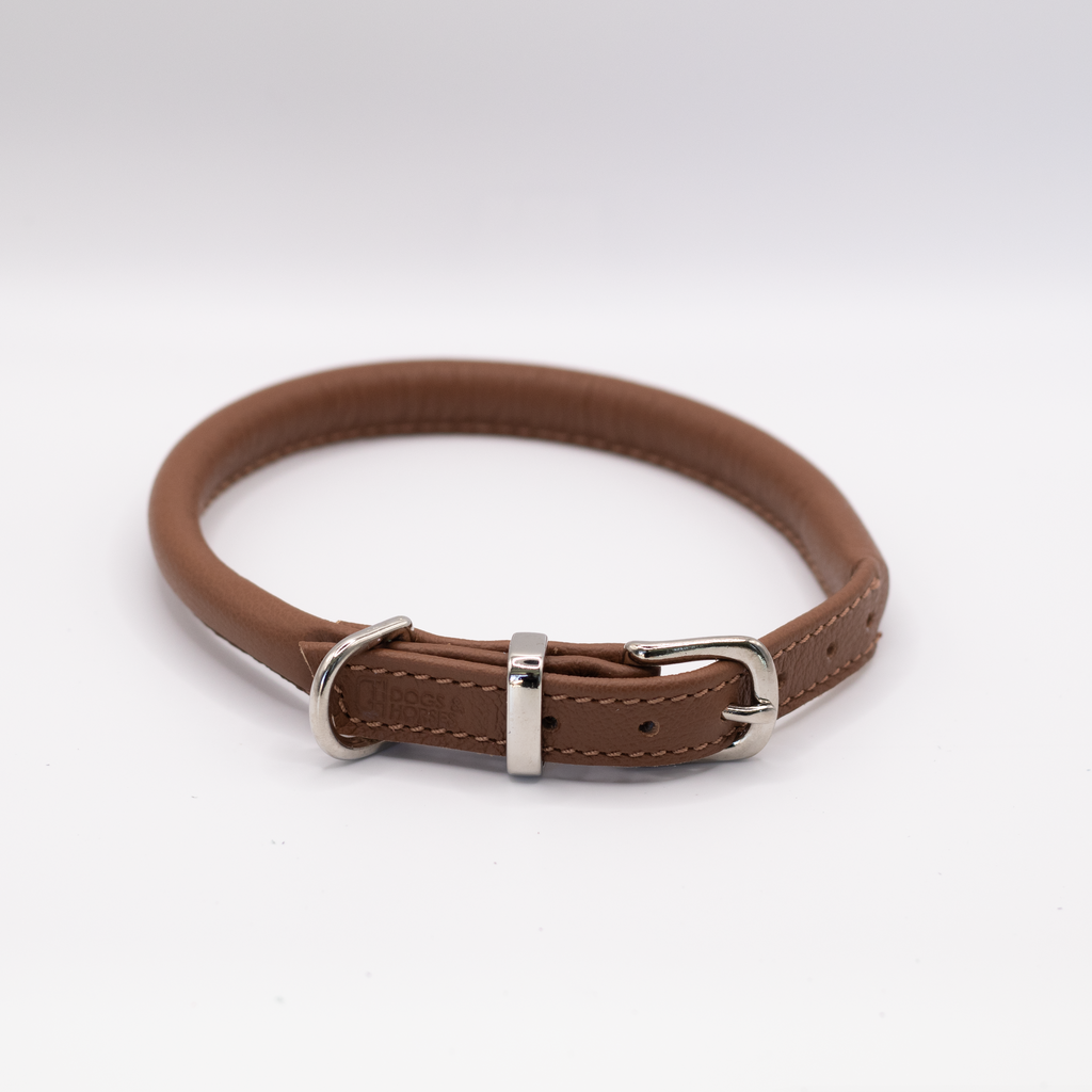 Tan collar hot sale