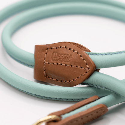 Rolled Soft Leather Dog Lead Aqua