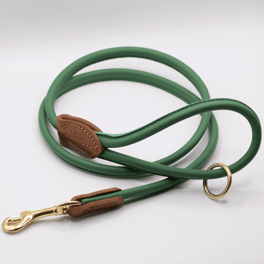 Rolled Soft Leather Dog Lead Clover