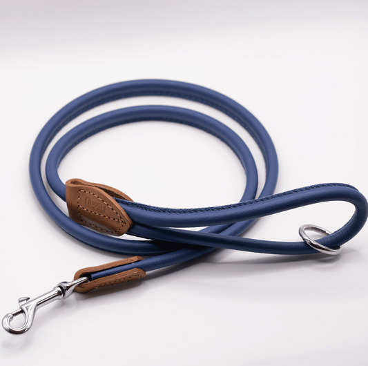 Rolled Soft Leather Dog Lead Electric Blue