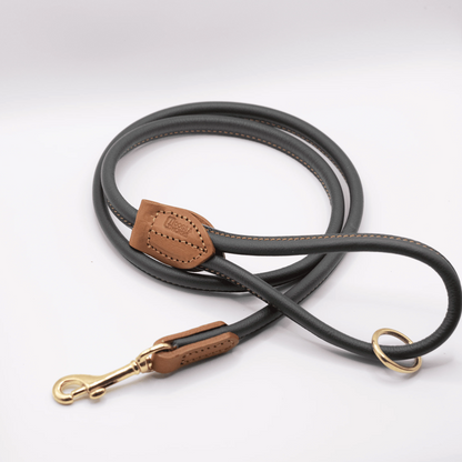Rolled Soft Leather Dog Lead Racing Green