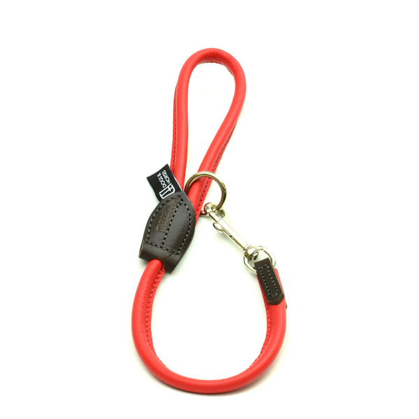 Big dog leash deals
